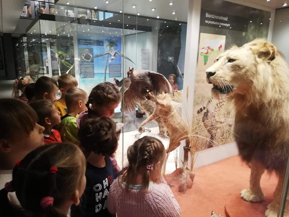 Dzieci patrzą na lwa