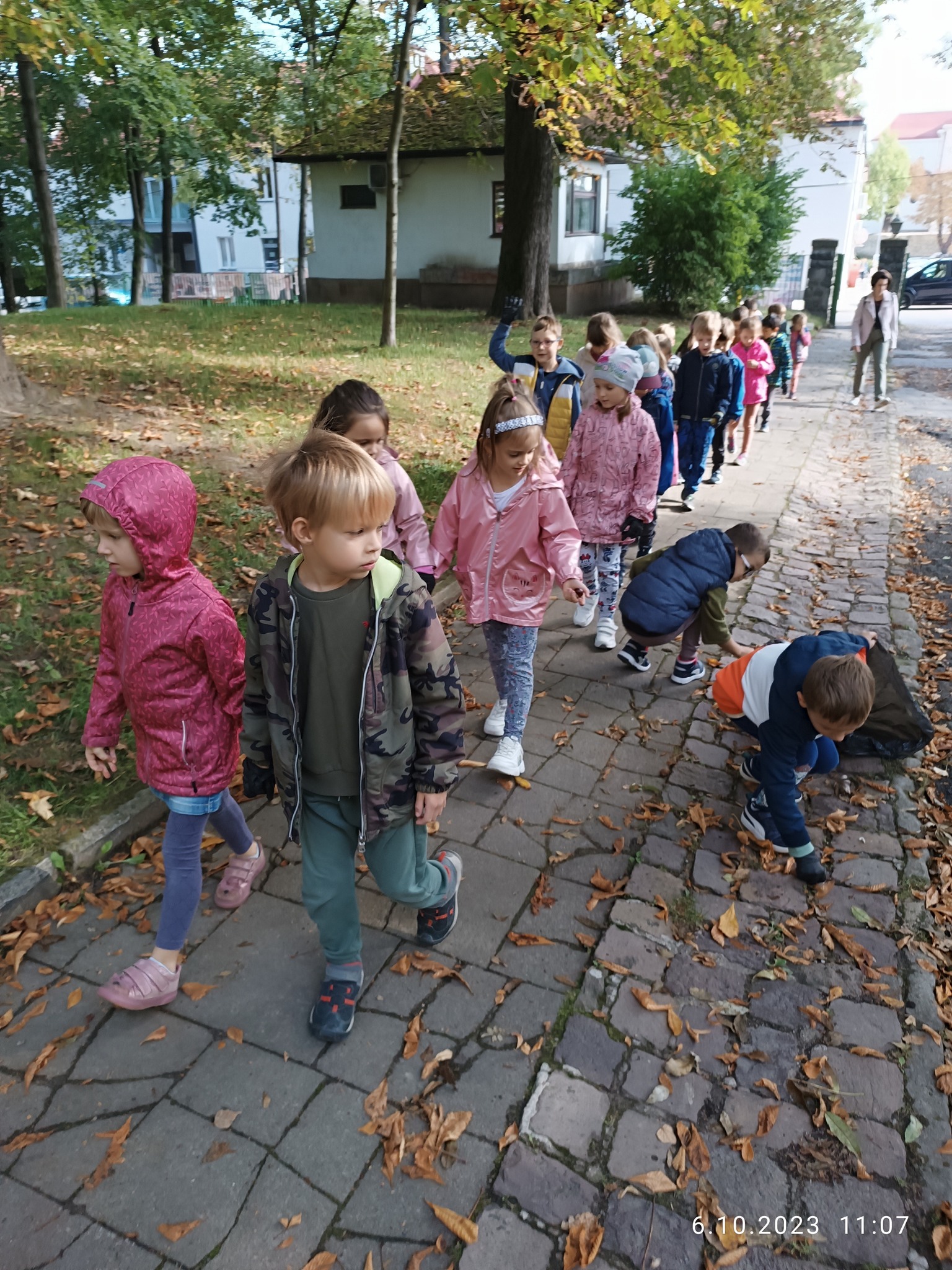 Liski wychodzą na spacer