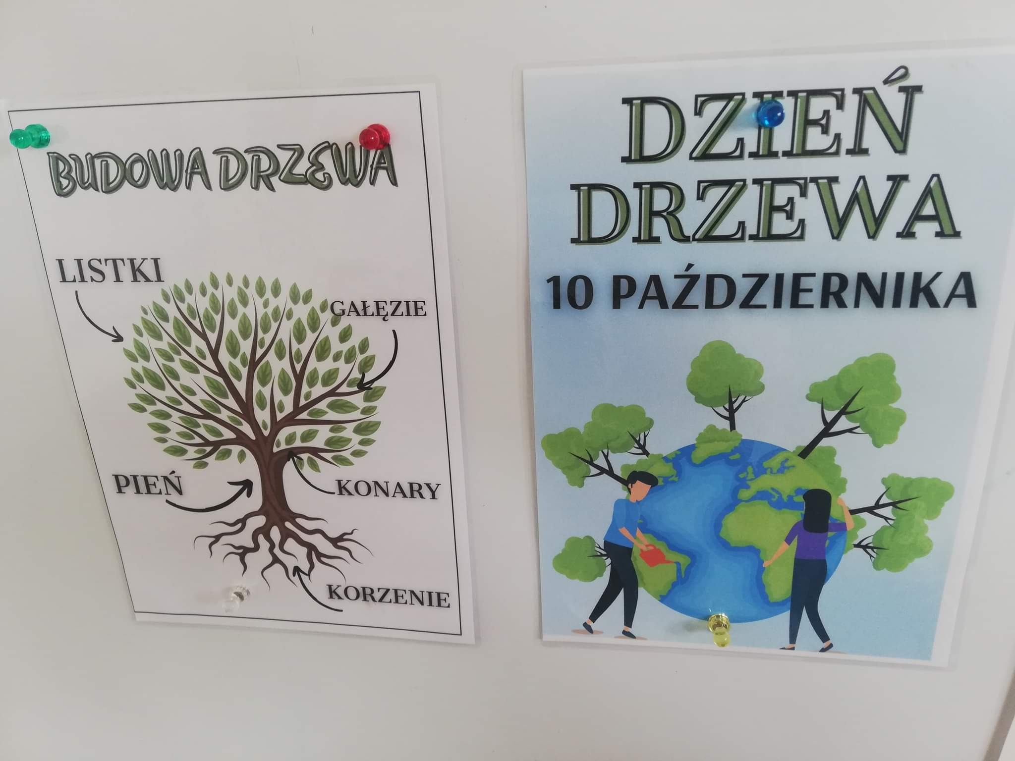 Plakat z Dnia Drzewa