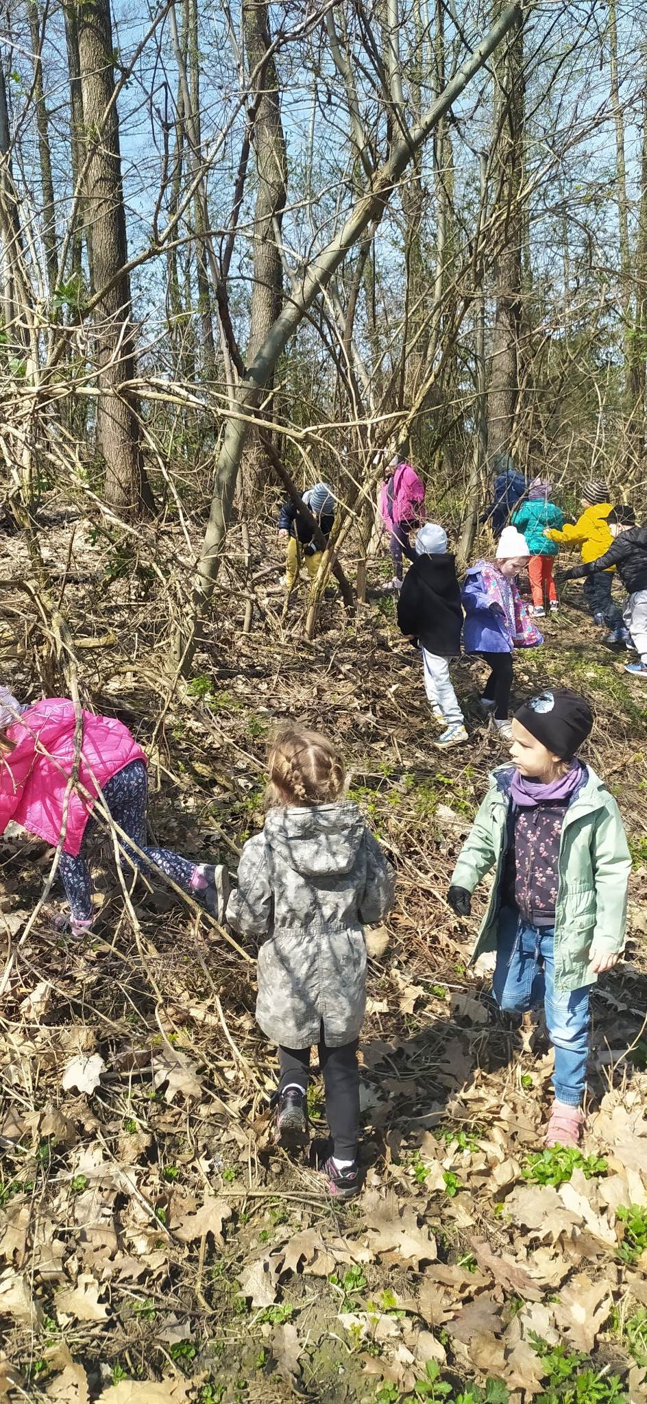 dzieci z grupy Pszczółki sprzątają lasek blisko przedszkola