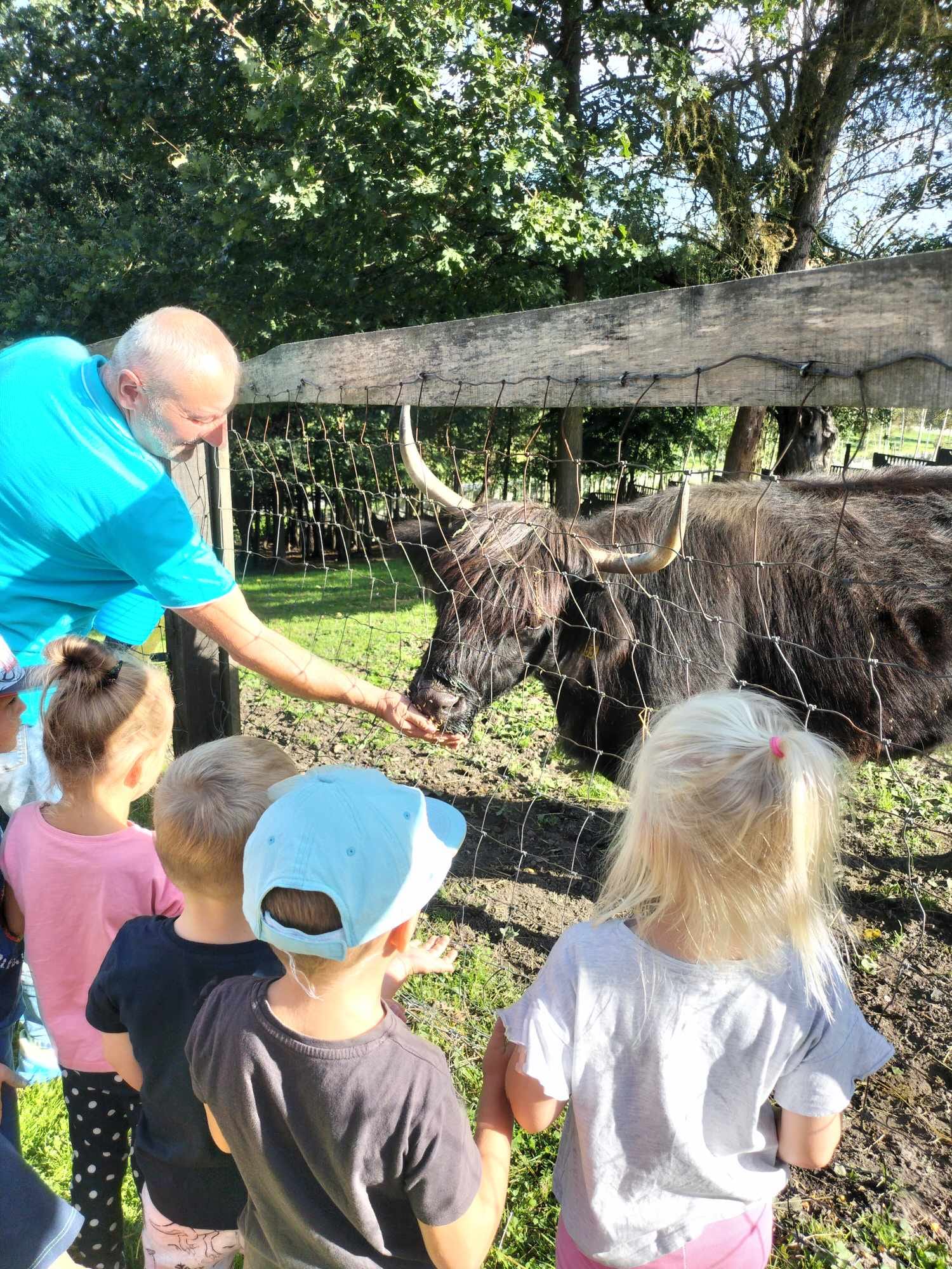 pan karmi zwierzęta