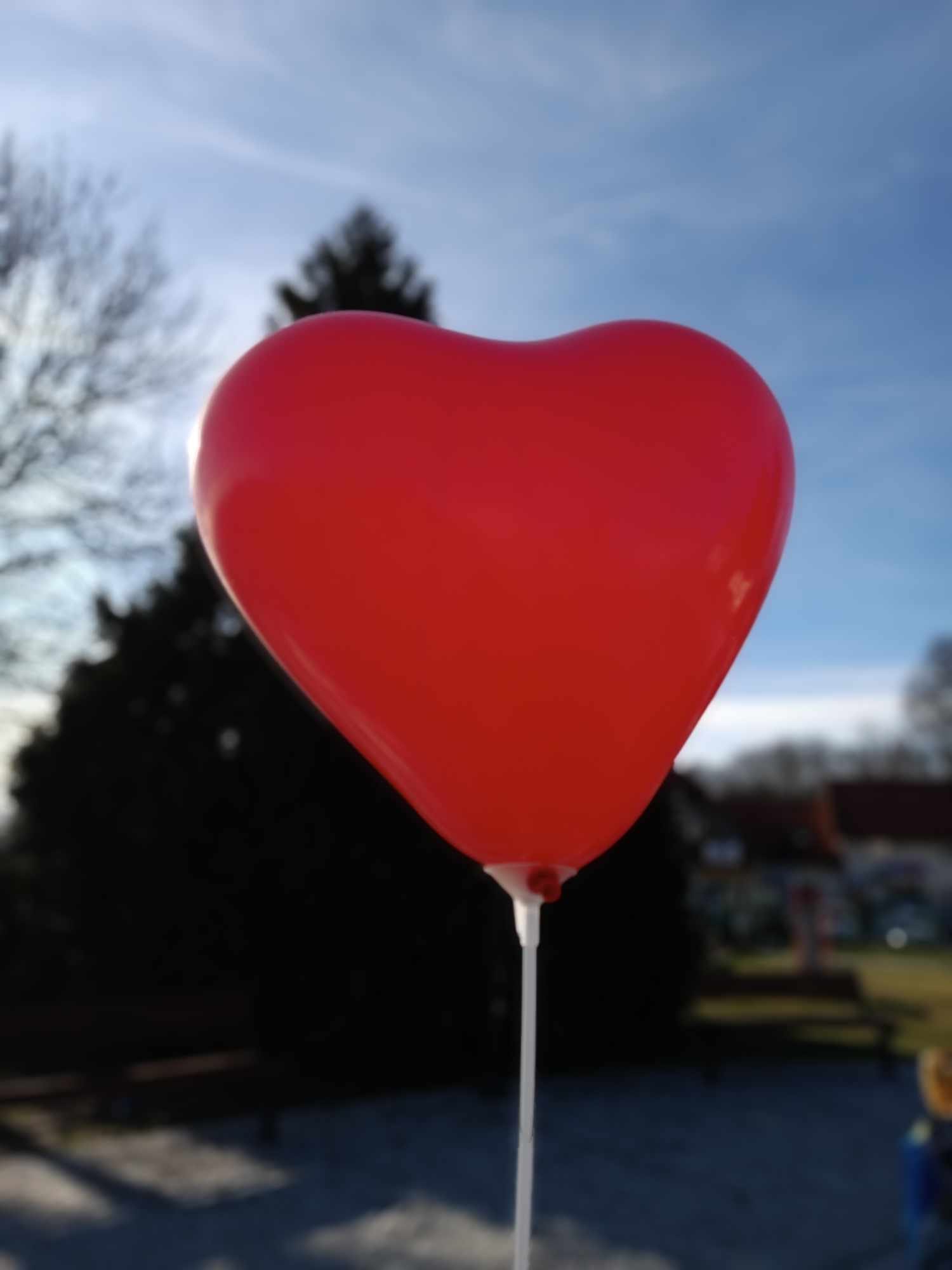 serce z balonu