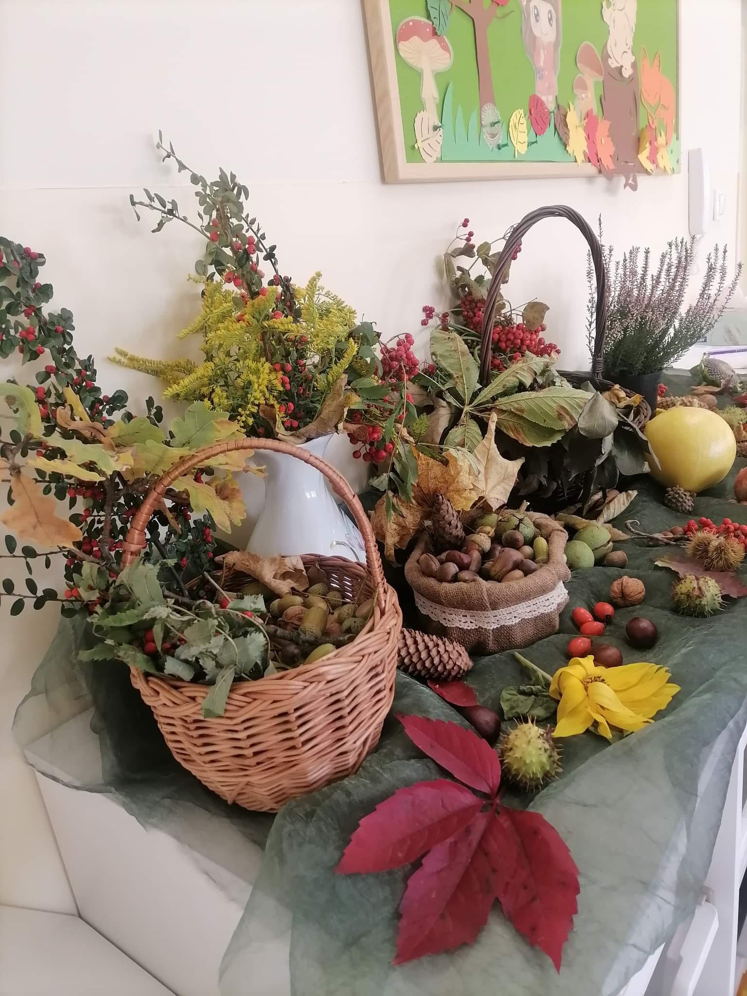 ułożone dary jesieni
